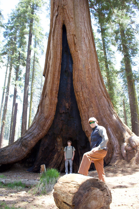 Sequoia National Forest